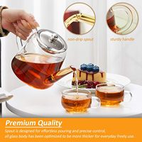 Théière en verre borosilicate de 800 ml (27 oz) personnalisée, soufflée à la main, transparente, de haute qualité, résistante à la chaleur, avec infuseur