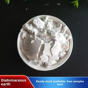 Poudre de terre de diatomées Aide au <span class=keywords><strong>filtre</strong></span> à diatomite/kieselguhr Celite Poudre de terre de diatomées de qualité alimentaire - Product Image 2