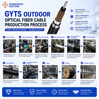 Cable de Fibra Óptica GYTS para Exteriores, Monomodo G652D, 12/24 Hilos, Tubo Suelto, Blindado con Cinta de Acero, Comunicación PE