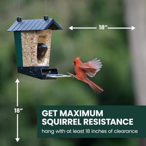 बाहर लटकने के लिए आसान डिजाइन उच्च गुणवत्ता वाले ऐक्रेलिक छत पक्षी स्नान को बाहर लटकाने के लिए आसान छत पक्षी स्नान - Product Image 2