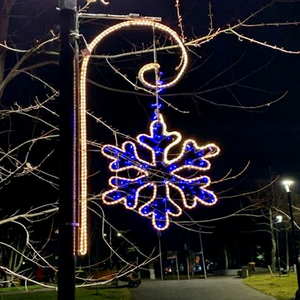 Energy-saving 2d Pole Decorative <b>Led</b> <b>Lights</b> For Eco-friendly Holiday Lighting In Streets Parks And City Squares - Product Image 1