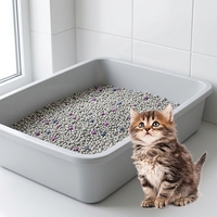 Pasir Kucing Bentonit Premium Daya Gumpal Kuat Rendah Debu Pengendalian Bau Cepat Sangat Menyerap Bentuk Bulat 1kg