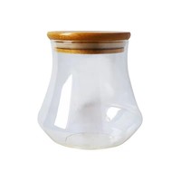 Bocaux en verre borosilicate haute résistance à la chaleur avec couvercle hermétique en bambou pour le stockage des aliments