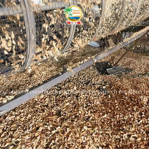 USO DE COCO NATURAL EN FORMA DE CHIPS PARA CAMA DE ANIMALES - Product Image 3