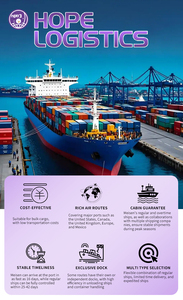 Servicio de Envío Puerta a Puerta con Impuestos Pagados desde Almacén Principal, Agente de Envío DDP <span class=keywords><strong>Amazon</strong></span> FBA de China a Estados Unidos - Product Image 6