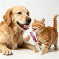 Gel Crème Probiotique Soin Santé Animaux 30ml en Seringue pour Chiens & Chats - Supplément Huile de Poisson pour la Digestion & la Santé Intestinale