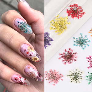 Mixed Natural <b>Dried</b> Flower Nail Stickers Summer <b>Petal</b> Nail Art Decals Colorful Real Flower Decorations for Nail Salon - Product Image 5