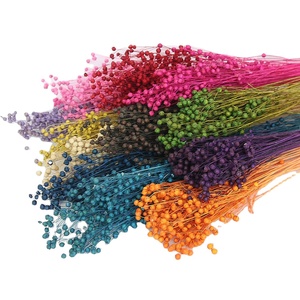 Fleurs séchées artificielles, plantes décoratives Hypericum, pour Arrangement floral, plantes artificielles - Product Image 1