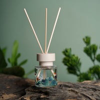Ensembles de diffuseurs à bâtonnets personnalisés en gros, 50 ml, en verre, parfum longue durée, pour salon et toilettes, cadeau tendance pour influenceurs