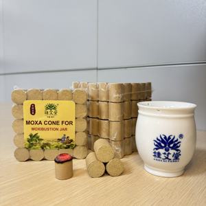 Gui AITang Energy Cans Masajeador de terapia especial Medicina China Azul Blanco Porcelana Juego de ventosas faciales Salón de belleza - Product Image 2