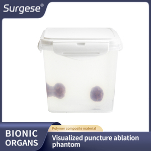 Scalptek Phantom d'entraînement à l'ablation par pénétration visualisée avec indicateur thermique à changement de couleur pour l'ablation par radiofréquence et micro-ondes - Product Image 6