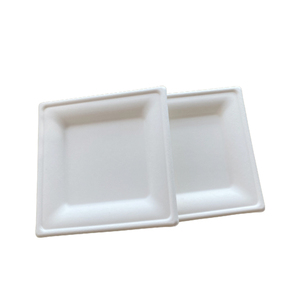 BIO Eco Choice Mía/Bagasse Microwavable Nhà Máy Sợi Compostable Dùng Một Lần Vuông Giấy Bột Giấy Tấm - Product Image 3