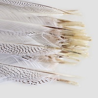 Plumes décoratives en gros à prix abordable, grandes plumes de faisan blanches teintées argentées pour l'artisanat et les festivals