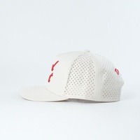 Casquette de baseball structurée personnalisée de haute qualité, vente en gros, casquettes de golf 5 panneaux en tissu polyester imperméable avec trous perforés