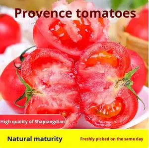 Tomates de Provence à <span class=keywords><strong>chair</strong></span> de sable du Yunnan 2.5kg Grandes tomates fraîches à peau de fer - Product Image 3