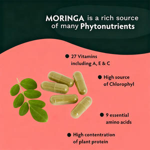 Les capsules organiques de Moringa de soutien immunitaire OEM/ODM stimulent le métabolisme énergétique favorisent la détoxification Capsules de Moringa - Product Image 3