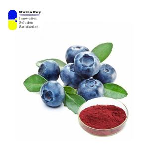 Bubuk ekstrak <span class=keywords><strong>Bilberry</strong></span> Cina Premium 25% antosianidins-Suplemen Diet antioksidan alami & nutraceuuticals - Product Image 3