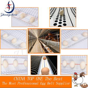New Poultry Cage Perforated <strong>Egg</strong> Belt for Animal &amp; Poultry Husbandry Equipment Polypropylene Low <strong>Egg</strong> Breakage Rate - Product Image 6