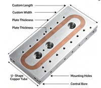 Plaque de refroidissement liquide en aluminium sur mesure avec tube en cuivre pour la gestion thermique des modules de puissance de chargeur EV laser IGBT CE RoHS