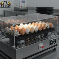Incubateur automatique à retournement d'œufs pour l'élevage d'oiseaux, d'oies, de canards, de poulets et de dindes, nouveau matériau PP, haute productivité, taux d'éclosion de 98%