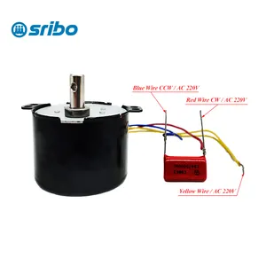 50Ktyz 24V Ac Synchrone Motor Cw Ccw Mini Gear Motor 50Rpm Slow Speed Reducer Permanente Magneet Motor