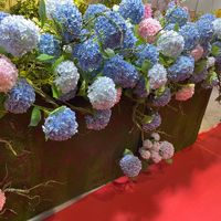 Direkt vom Hersteller Künstliche Große Einzelstiel-Hortensie Hochwertige Simulation Kunstseide Blume 3D-Gedruckte Blütenblätter Hochzeit Heim Chinesisches Neujahr