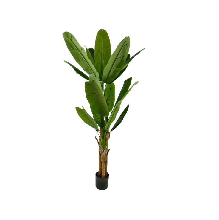 Vert