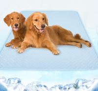 Tapis rafraîchissant pour animaux de compagnie, respirant, personnalisé, réutilisable, non toxique, imperméable, pliable, en gel, écologique, doux, durable, pour chat et chien