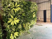 Panneau mural végétal artificiel d'extérieur en gros pour mariage, décoration murale végétale verte