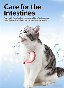 Aliment sec pour <span class=keywords><strong>chat</strong></span> OEM ODM, saveur poulet et bœuf, formule double viande, riche en protéines, sans céréales, pour chatons et chats adultes de toutes les générations - Product Image 4