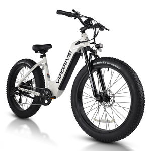 Bicicleta Eléctrica Todoterreno con Neumáticos Gruesos, Batería de Litio de 48V 15AH 750W, Pantalla LCD Multimodo para Adultos Deportivos, Stock en EE. UU. - Product Image 1
