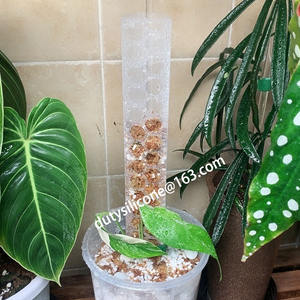 เสาพลาสติกสำหรับปีนเขา,เสาสำหรับต่อพืชในร่ม - Product Image 3