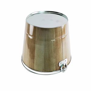 Imprimé Fer Blanc Galvanisé 5L Capaicty En Relief LOGO Personnalisé 5 Quart Métal Seau À Glace - Product Image 5