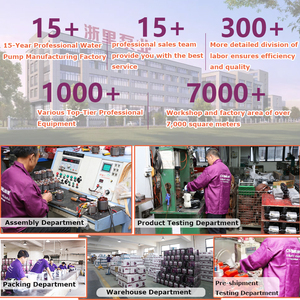 Pompa Sommergibile a Risparmio Energetico in Acciaio Inox 1HP, Pompa Elettrica <span class=keywords><strong>per</strong></span> Sollevamento Acqua <span class=keywords><strong>per</strong></span> Pozzi Poco Profondi, Cisterne Domestiche e Trasferimento Acqua - Product Image 2