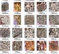 Prix de Gros Vente Multiple Types Menthe Poivrée Poria Cocos Herbes Chinoises Séchées Naturelles Épices Produits à Base de Plantes