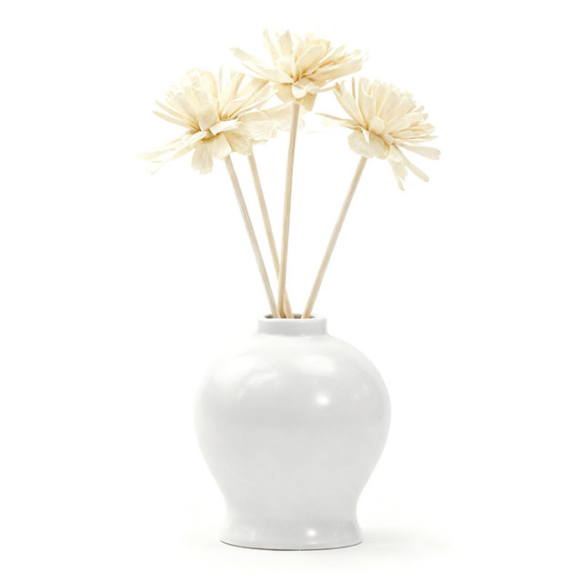 New Coming  Luxury Reed Air Fresheners Empty Bottle for Fragrance Diffuser 154ml Ceramic Reed Diffuser Vase with Box Decor