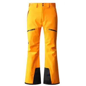工場供給屋外防水防風プロフェッショナル高品質スキーパンツ男性用冬ズボンハイキングf