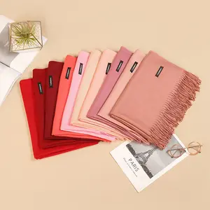 Thời Trang Mềm Mại Mùa Đông Mềm Mại Khăn Quàng Cổ Cashmere Lady Phong Cách Đồng Bằng Dệt Phụ Nữ Tua Khăn Choàng Len Cashmere