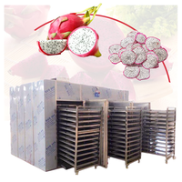 Sécheuse industrielle au gaz propane liquide pour papaye, persil, estragon, tomates, plateaux en tranches/électrique
