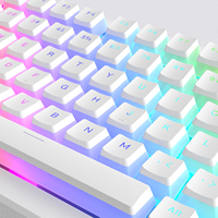 XVX 푸딩 V2 OEM 게이밍 165키 PBT 키캡 ANSI 61/68/84/87/96/98/100/104/108키 기계식 키보드 호환