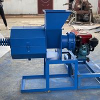 Industriële persmachine voor het persen van rode palmolie, extractielijn voor oliepersen, machines en apparatuur