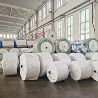 Rouleaux de tissu en plastique PP blanc de matière première de polypropylène de fournisseurs de fabricant de Chine faisant des sacs d'emballage
