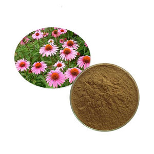 Ekstrak Faitury grosir <span class=keywords><strong>Echinacea</strong></span> purpurpurea acoechinside 4% UV - Product Image 2