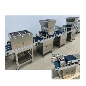 High quality automatic seedling seeding machine The soil pressure hole sowing machine Planting industry nursery equipment