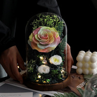 Rose éternelle de luxe dégradée sous cloche en verre avec LED, fleurs éternelles pour mariage et Saint-Valentin, longue durée (3-5 ans), silencieuse et durable