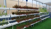 Système hydroponique NFT pour la culture de légumes sans terre, équipement d'irrigation agricole à base de tuyaux haute rigidité