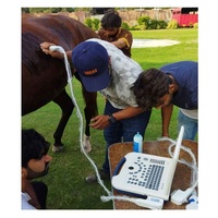 Dawei Portable Bw Machine à ultrasons Ordinateur portable Vet Machine à ultrasons Scanner convexe pour cheval
