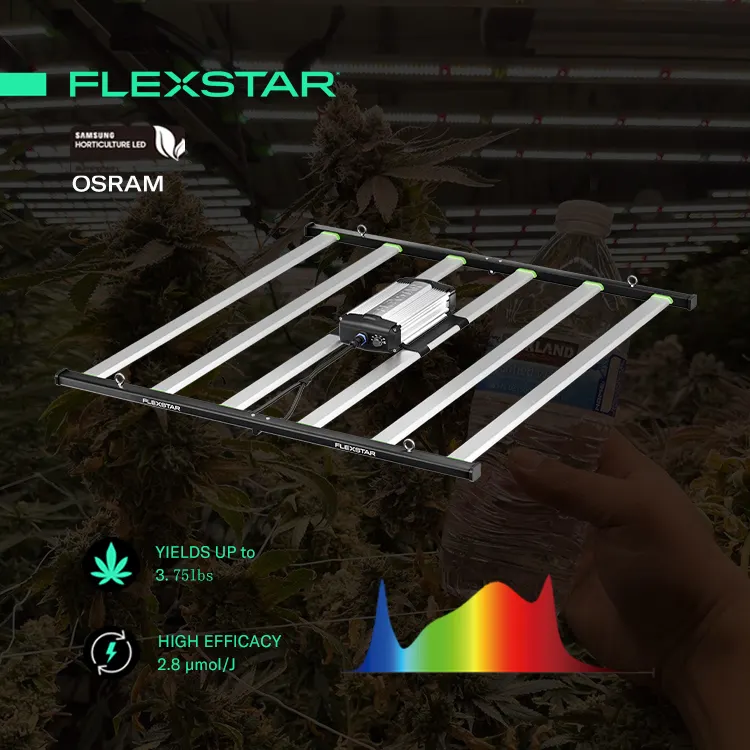 Flexstar 645W 4X4ft 0-10V gradation Daisy-Chain expédition rapide Samsung 301B Led plante élèvent des lumières