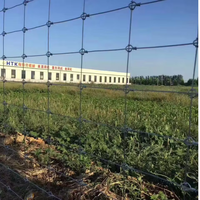 Clôture de champ de haute qualité pour l'alimentation du bétail dans les fermes agricoles et les pâturages, également utilisée comme barrière contre les cerfs et les animaux sauvages
