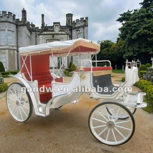 4-6Person Custom Vintage Carriage Leisure Victorian Electric Caleches Horse Carriage with Hood for Wholesale- US/EU Standard - Product Image 3